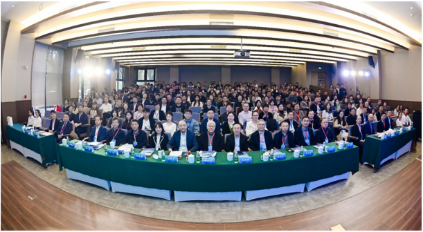 17628291331310312D18.png image.png